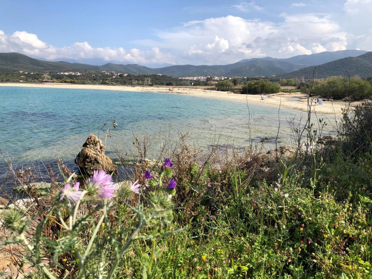 A 900 M De La De Lozari Belgodere (Corsica)